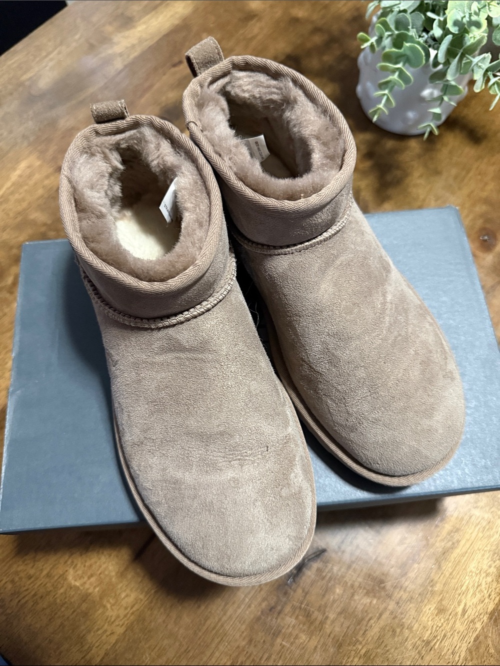 UGG Mini Boot in Caribou - Picture 5 of 5